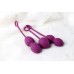 Nova Ball Фиолетовый Вагинальные шарики со смещенным центром тяжести